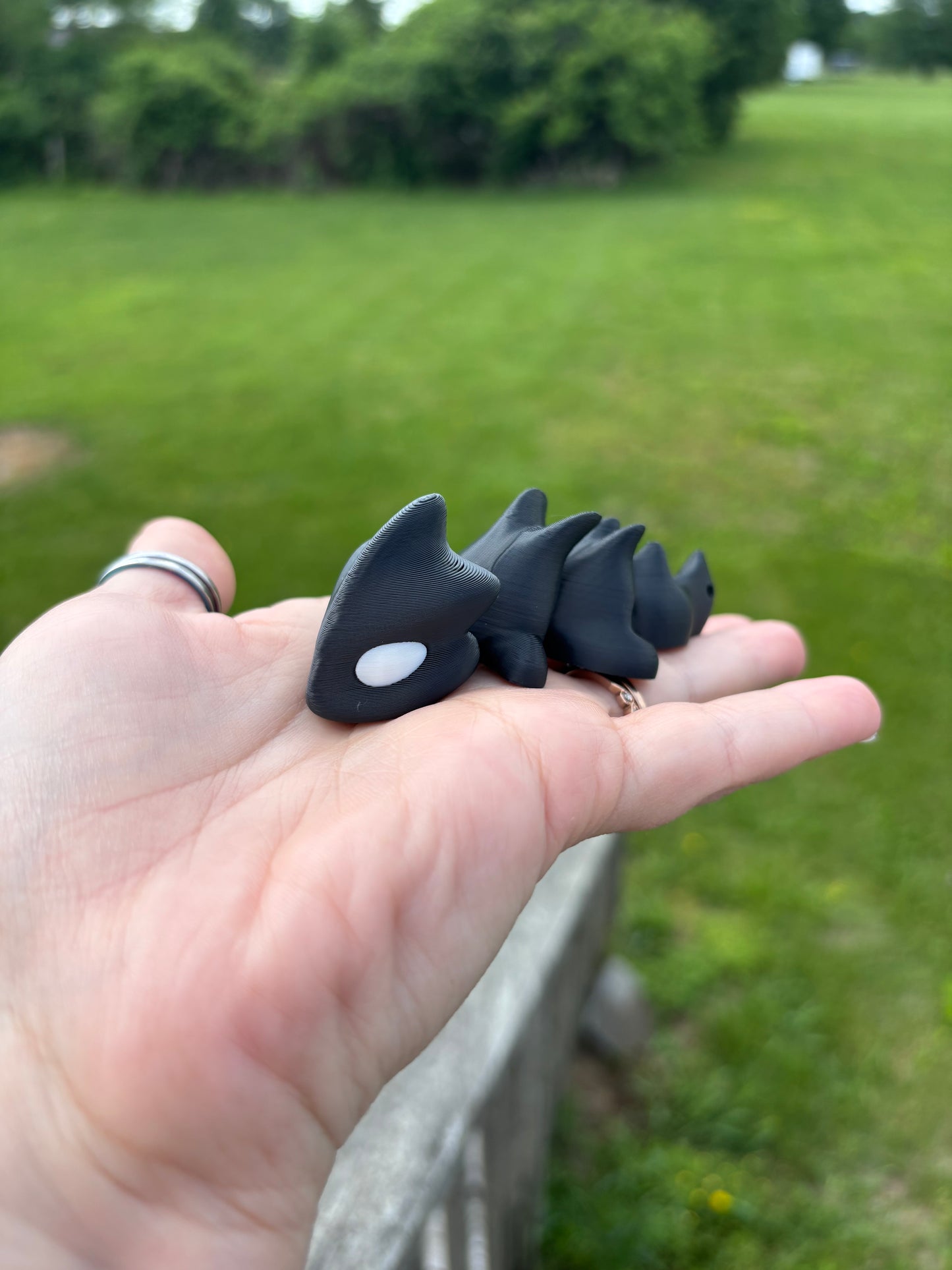 Flexi Dragon
