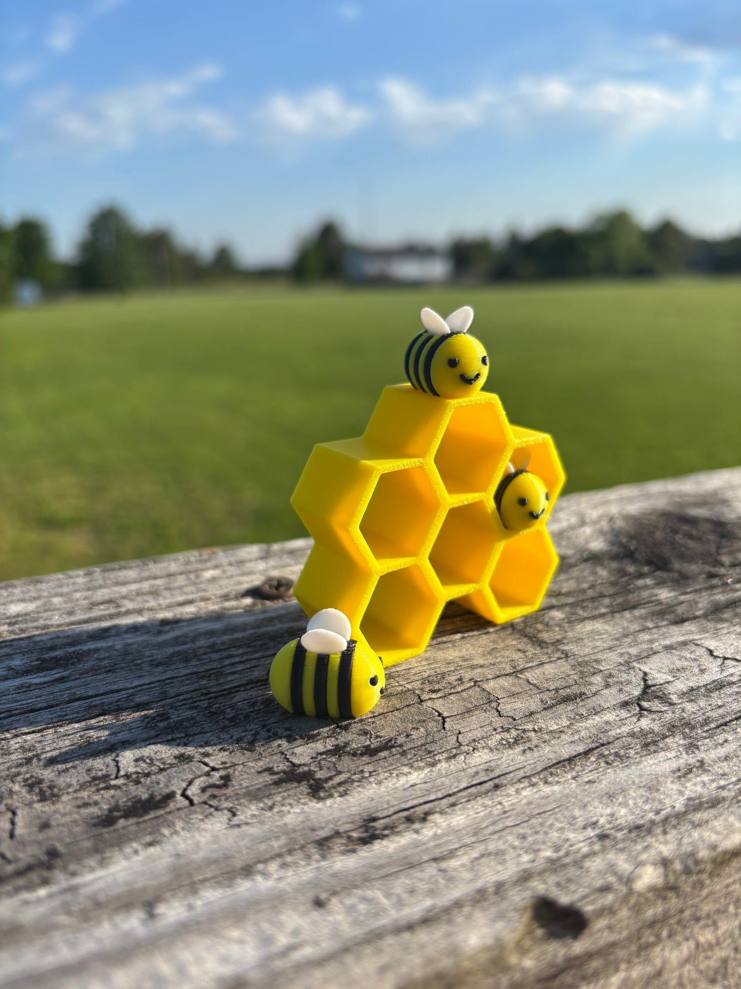 Bees and Honeycomb