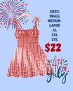 Red Gingham Dress