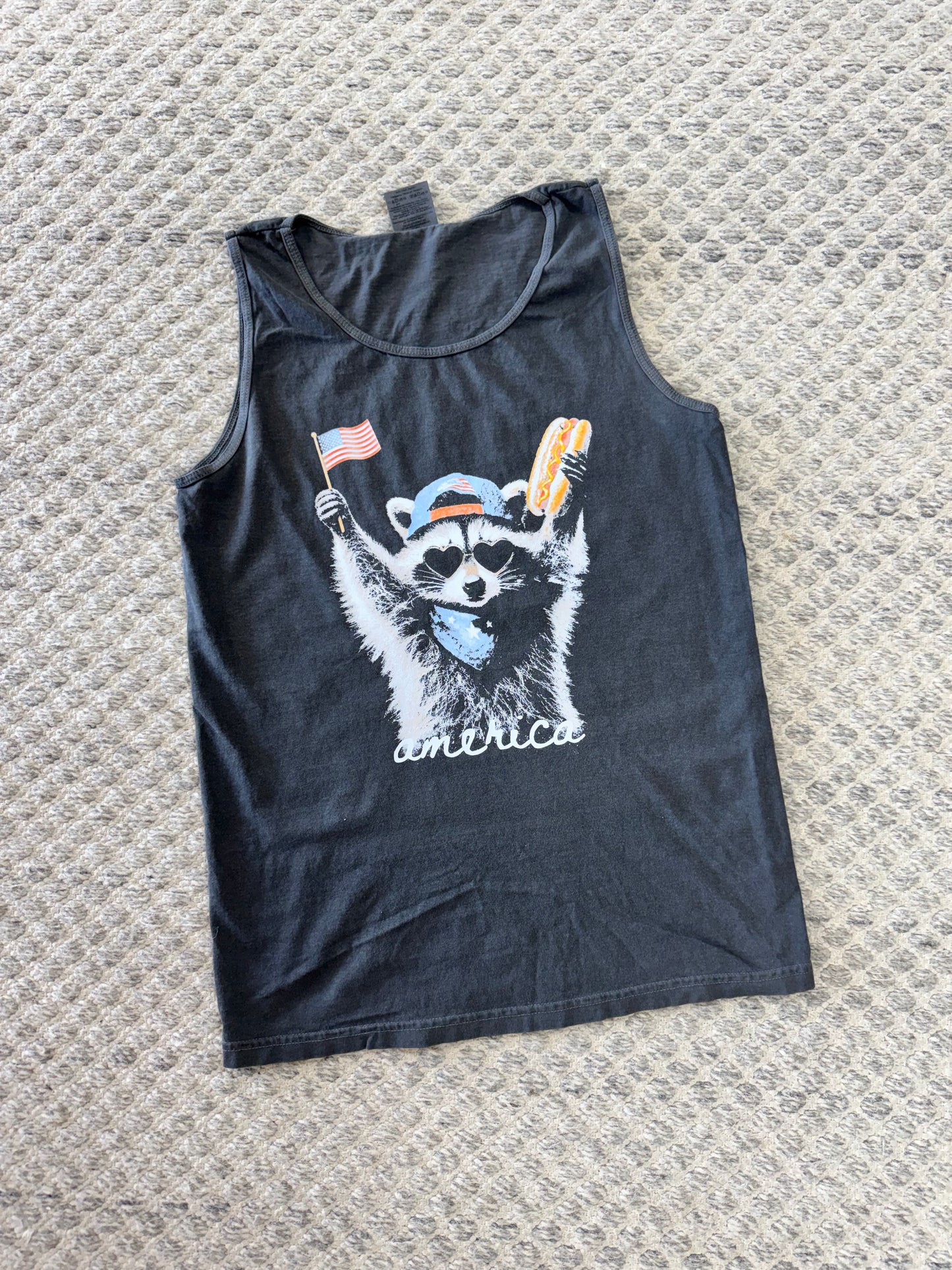 America Rocker Racoon